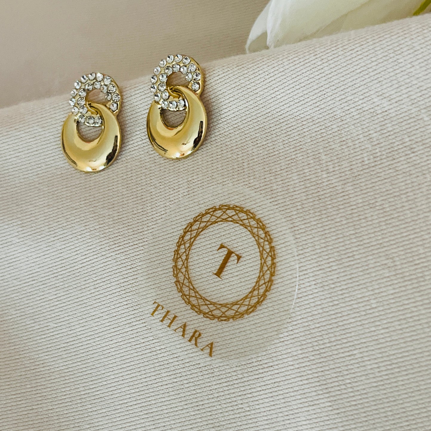Round Loop Hanging Earrings
