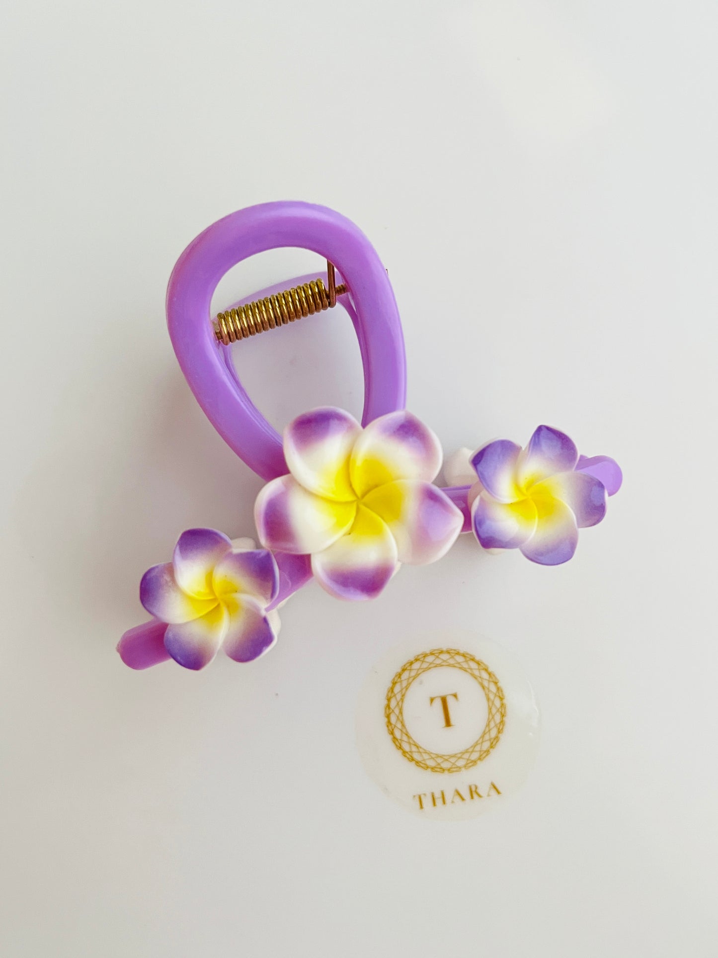Colorful Plumeria Flower Hair Claw Clips