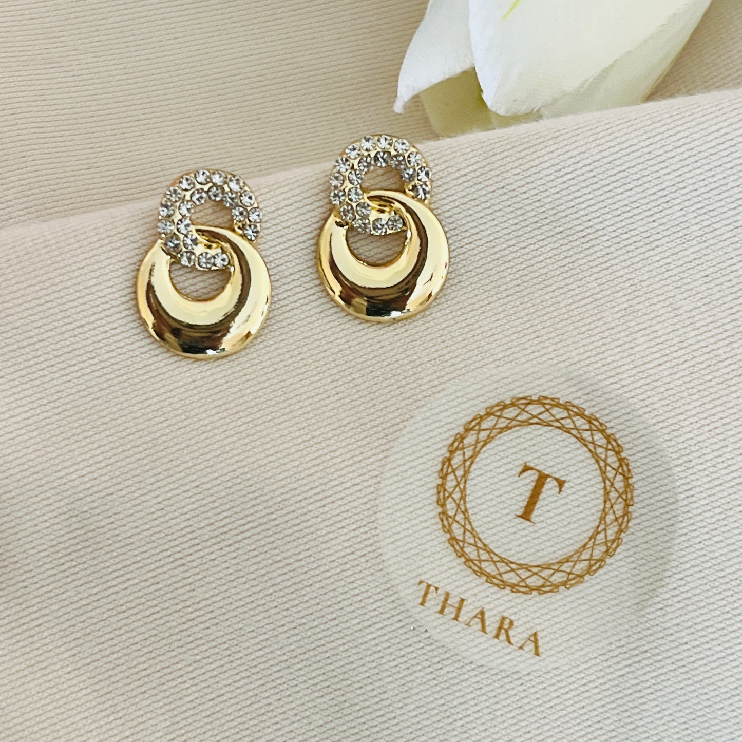 Round Loop Hanging Earrings